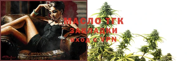 индика Богородск