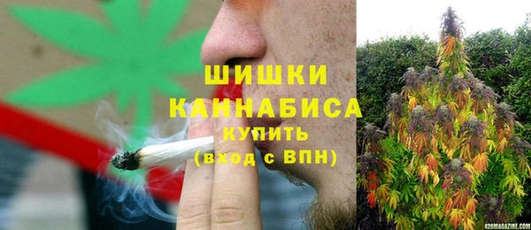 индика Богородск