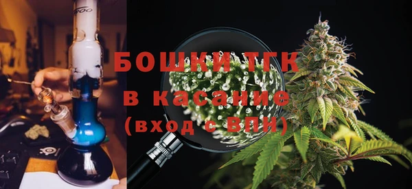 прущие грибы Бронницы