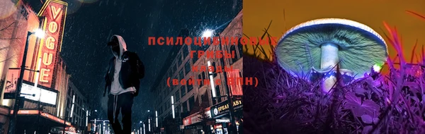 прущие грибы Бронницы