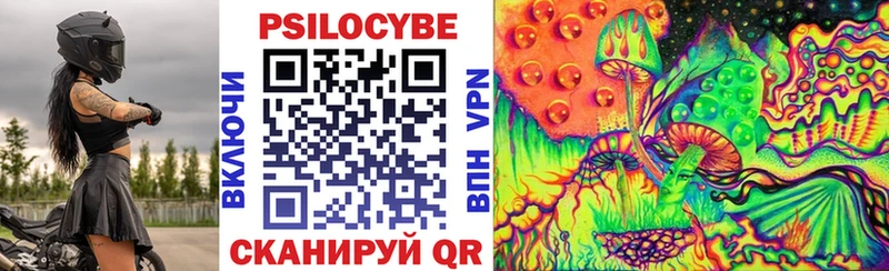 хочу   Вяземский  omg как зайти  Галлюциногенные грибы Psilocybine cubensis 